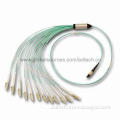 MTP/MPO Fiber-optic Patch Cords with Backbone Installation and 12 or 24 Fiber Connector Interface